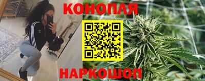 кокс Пугачёв